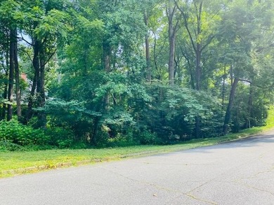 Lake Lanier Acreage For Sale in Martinsville Virginia