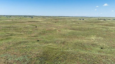 The Dunes Subdivision is a wonderful 740 +/- acre gated - photo 29