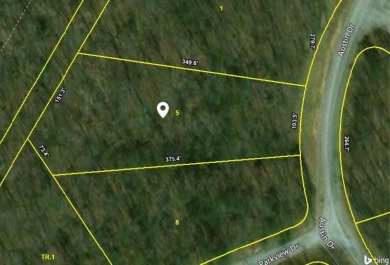Lake Lot For Sale in Monterey, Tennessee
