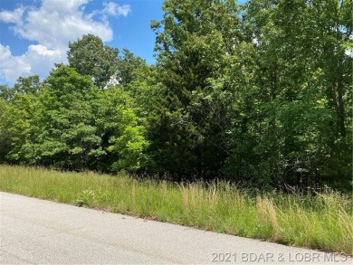Lake of the Ozarks Lot For Sale in Laurie Missouri
