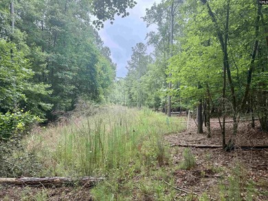 Lake Living at its Finest. Side by side lots available in - photo 5
