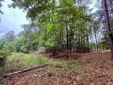 Lake Living at its Finest. Side by side lots available in - photo 7