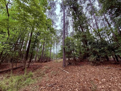 Lake Living at its Finest. Side by side lots available in - photo 8