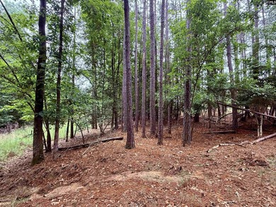 Lake Living at its Finest. Side by side lots available in - photo 9