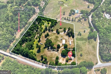 (private lake, pond, coastal) Home For Sale in Brooks Georgia