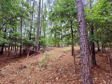 Lake Living at its Finest. Side by side lots available in - photo 8