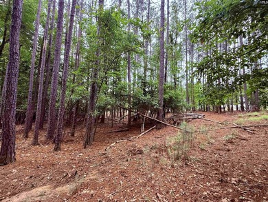 Lake Living at its Finest. Side by side lots available in - photo 9