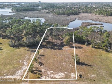 What a deal this is for a waterfront lot in Ascot Point with - photo 1