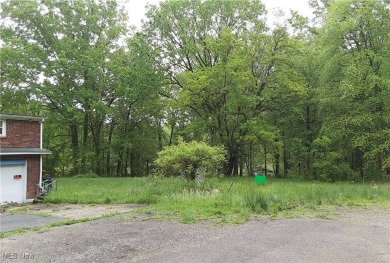 Lake Lot For Sale in Lake Milton, Ohio