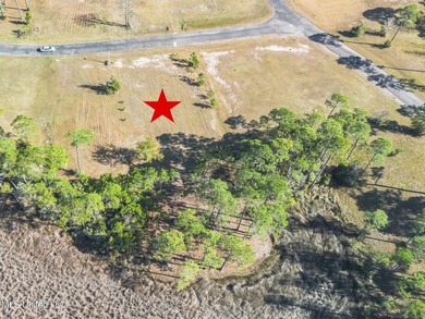 What a deal this is for a waterfront lot in Ascot Point with - photo 4