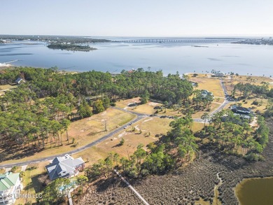 What a deal this is for a waterfront lot in Ascot Point with - photo 5