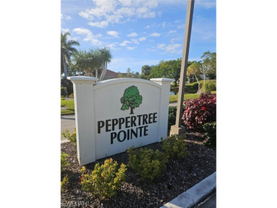 Lake Condo For Sale in Fort Myers, Florida