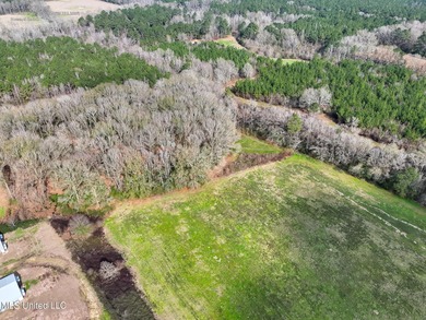 (private lake, pond, coastal) Acreage For Sale in Smithdale Mississippi