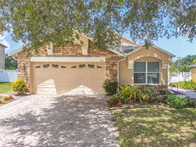 Lake Swatara Home For Sale in Eustis Florida