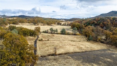 (private lake, pond, creek) Acreage For Sale in Lower Lake California