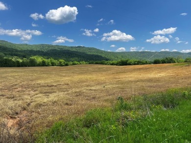 Lake Acreage For Sale in Spencer, Tennessee