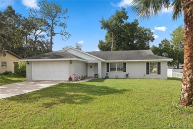 Lake Spivey Home For Sale in Inverness Florida
