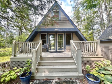 Lake Home For Sale in Johannesburg, Michigan