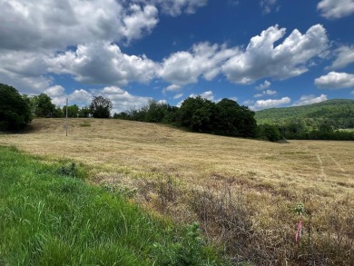 Lake Acreage For Sale in Spencer, Tennessee
