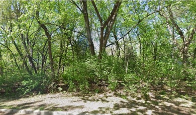 Steiger Lake Lot For Sale in Victoria Minnesota