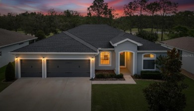 (private lake, pond, creek) Home Sale Pending in Sun City Center Florida