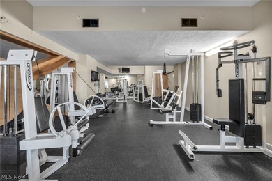 Experience refined city living in this striking Cleveland - photo 33