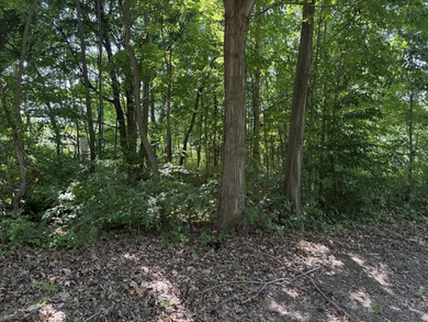 Lake Michigan - Berrien County Lot For Sale in Coloma Michigan