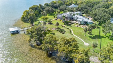 Lake Harris Home For Sale in Leesburg Florida