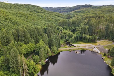 Flat, grassy lot lining Fishhawk Creek and just a stone's throw - photo 12