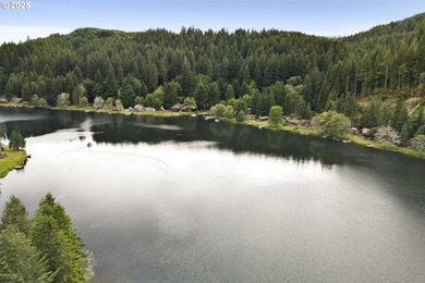 Flat, grassy lot lining Fishhawk Creek and just a stone's throw - photo 15