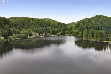 Flat, grassy lot lining Fishhawk Creek and just a stone's throw - photo 16