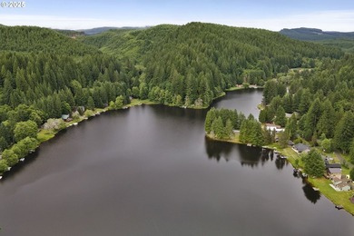 Flat, grassy lot lining Fishhawk Creek and just a stone's throw - photo 17