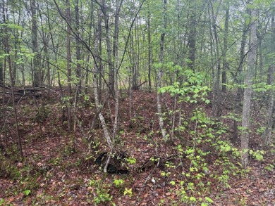 Lake Acreage For Sale in Crossville, Tennessee