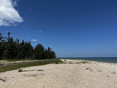 Lake Michigan - Charlevoix County Acreage For Sale in Beaver Island Michigan
