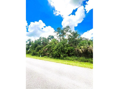 Port Charlotte Waterway Area Lot For Sale in Port Charlotte Florida