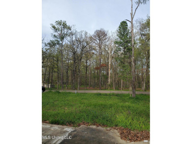 Ross Barnett Reservoir Lot For Sale in Brandon Mississippi