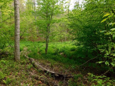 Tucked away in the scenic hills of Magoffin County, this - photo 1