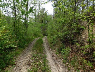 Tucked away in the scenic hills of Magoffin County, this - photo 2