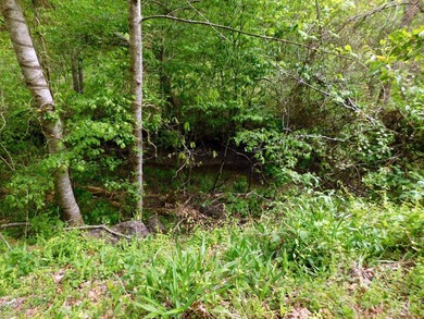 Tucked away in the scenic hills of Magoffin County, this - photo 3