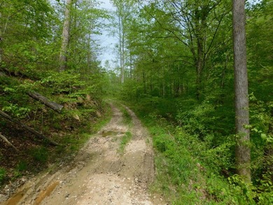 Tucked away in the scenic hills of Magoffin County, this - photo 4