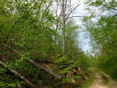 Tucked away in the scenic hills of Magoffin County, this - photo 5