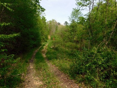 Tucked away in the scenic hills of Magoffin County, this - photo 6