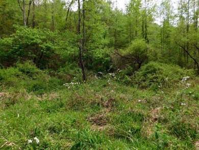 Tucked away in the scenic hills of Magoffin County, this - photo 7