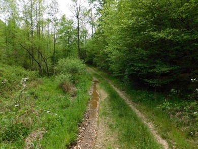 Tucked away in the scenic hills of Magoffin County, this - photo 8
