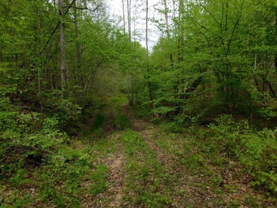 Tucked away in the scenic hills of Magoffin County, this - photo 9