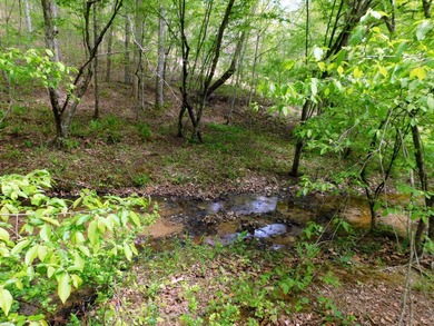 Tucked away in the scenic hills of Magoffin County, this - photo 10