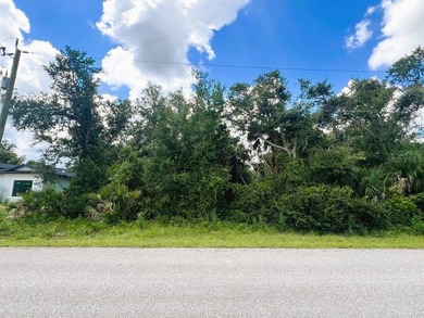 Port Charlotte Waterway Area Lot For Sale in Port Charlotte Florida