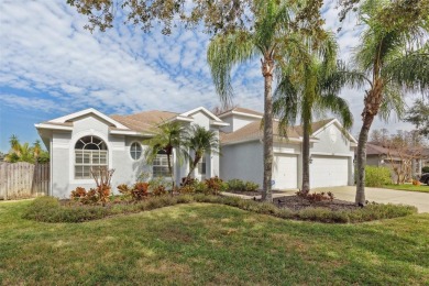 Lake Home For Sale in Lutz, Florida