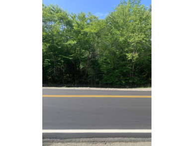 Little Web Pond Acreage For Sale in Waltham Maine