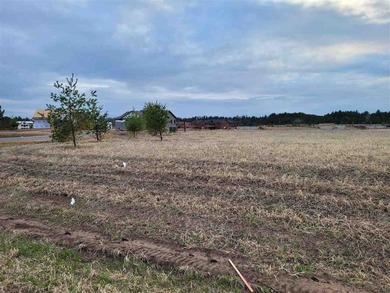 Lot 178 at Island Lake. This lot is ready to go to build the - photo 8